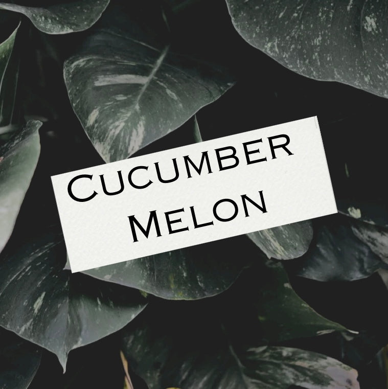 Cucumber Melon 7oz Candle