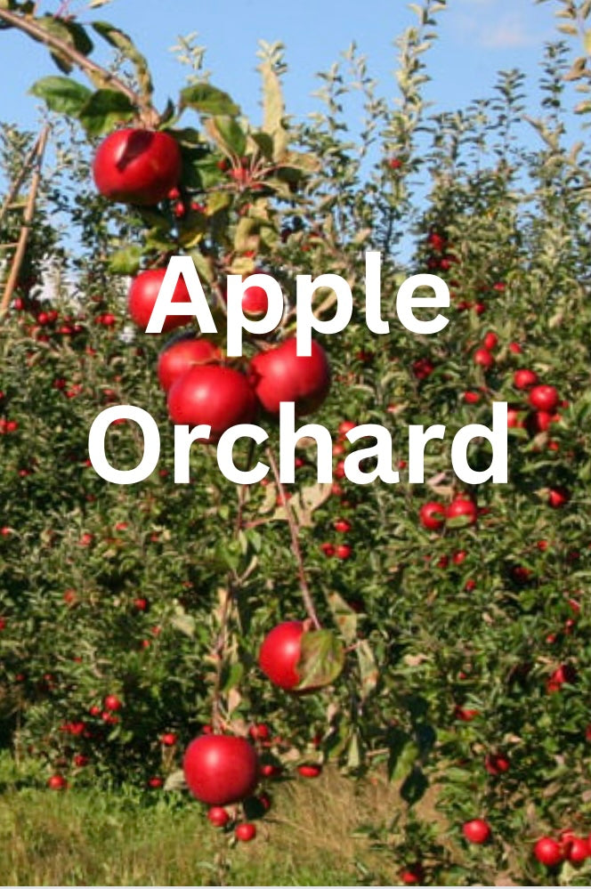 Apple Orchard Wax Melts